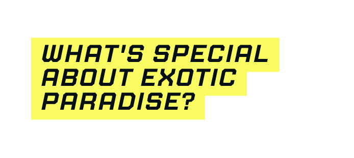 What s special about Exotic Paradise